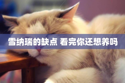 雪納瑞的缺點 看完你還想養嗎