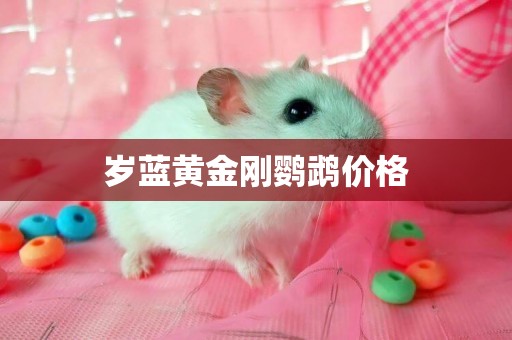 歲藍黃金剛鸚鵡價格