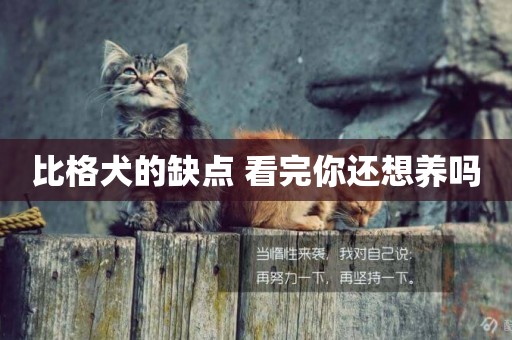 比格犬的缺點 看完你還想養嗎