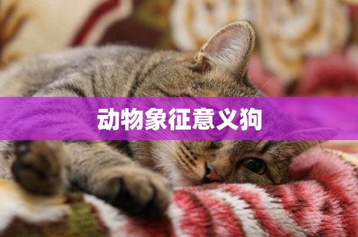 動物象征意義狗