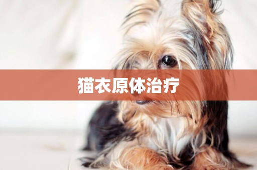 貓衣原體治療
