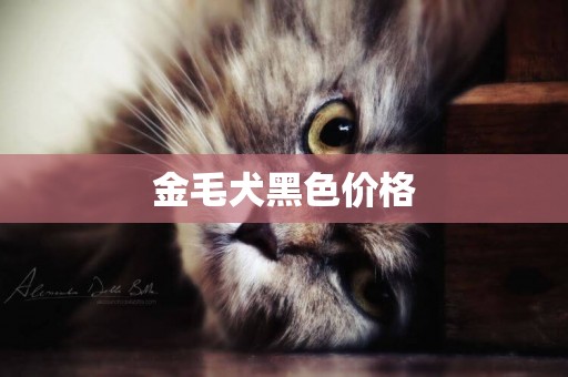 金毛犬黑色價格