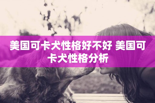 美國可卡犬性格好不好 美國可卡犬性格分析