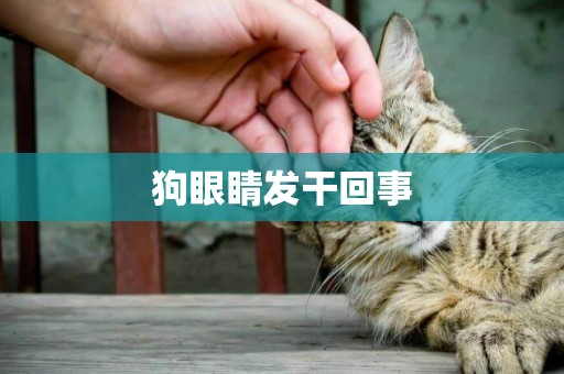狗眼睛發干回事