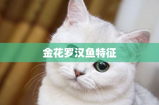 金花羅漢魚特征