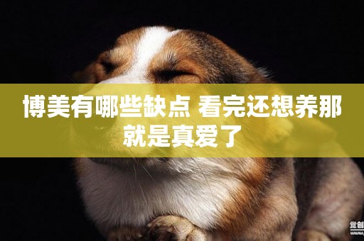 博美有哪些缺點 看完還想養那就是真愛了