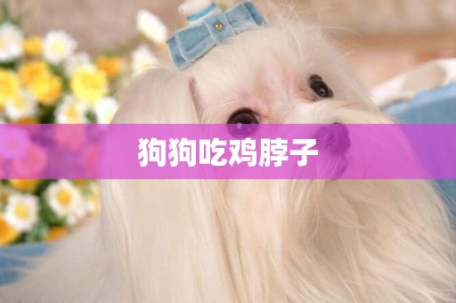 狗狗吃雞脖子