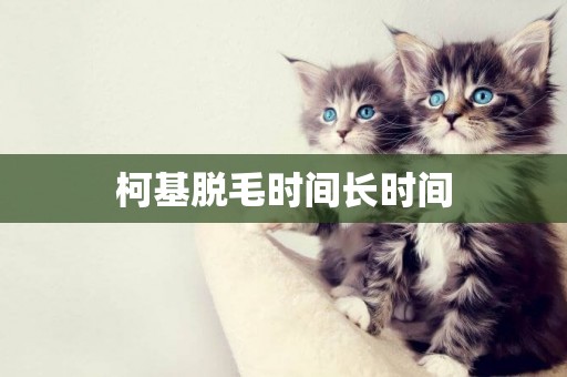 柯基脫毛時間長時間