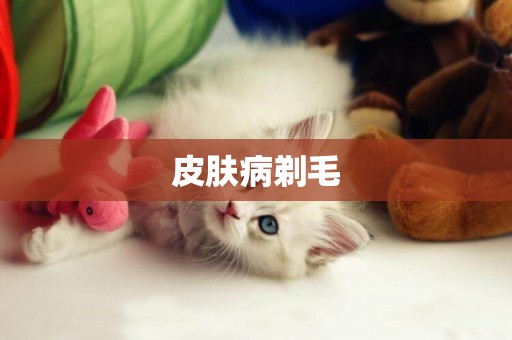 皮膚病剃毛