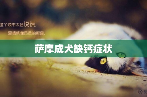 薩摩成犬缺鈣癥狀