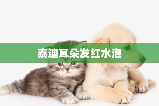 泰迪耳朵發紅水泡