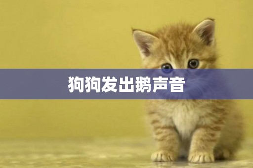 狗狗發出鵝聲音
