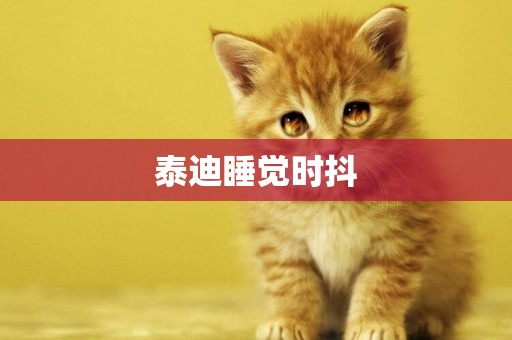 泰迪睡覺時抖