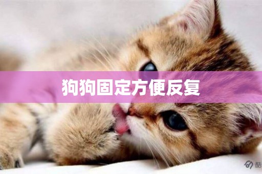 狗狗固定方便反復