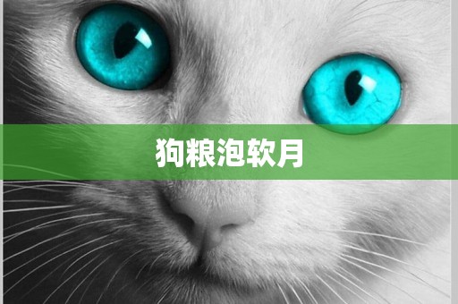 狗糧泡軟月