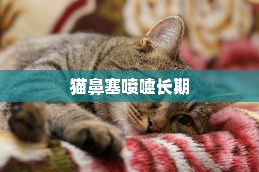 貓鼻塞噴嚏長期