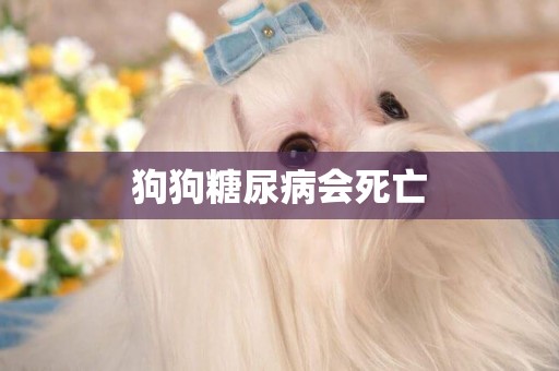狗狗糖尿病會死亡