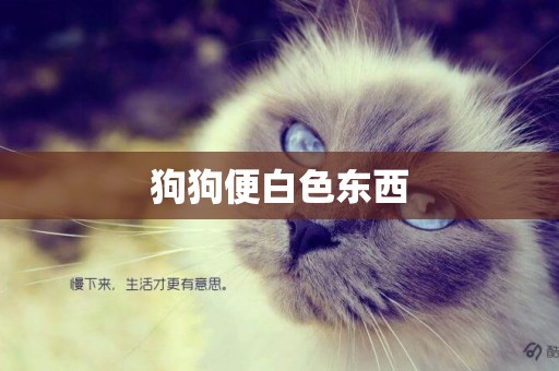 狗狗便白色東西