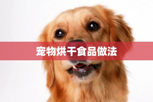 寵物烘干食品做法