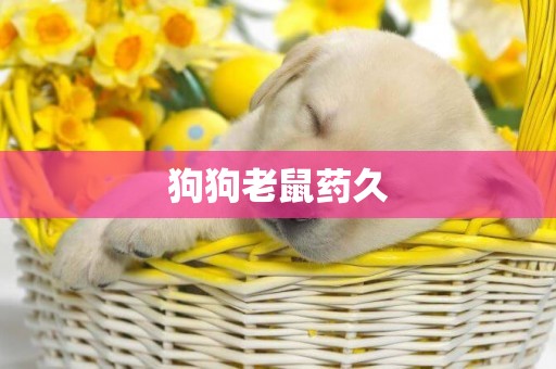 狗狗老鼠藥久