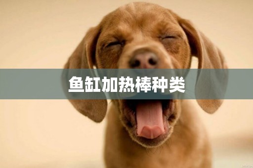 魚缸加熱棒種類