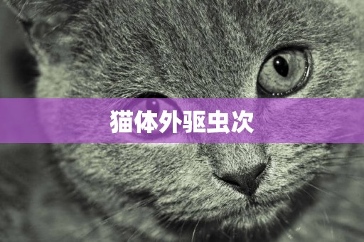 貓體外驅蟲次