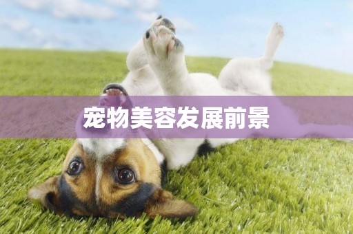 寵物美容發展前景