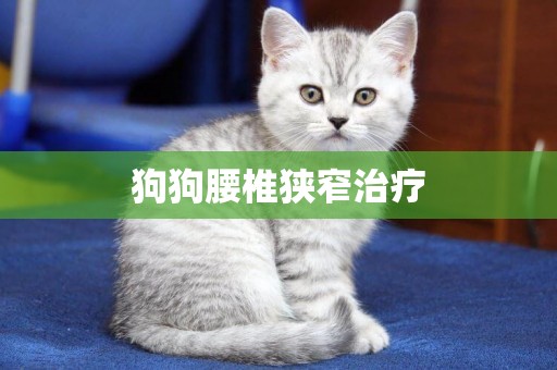狗狗腰椎狹窄治療