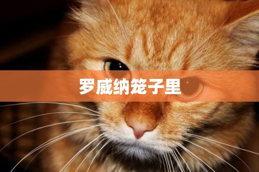 羅威納籠子里