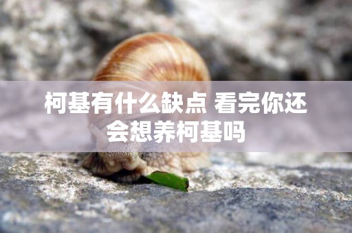 柯基有什么缺點 看完你還會想養柯基嗎