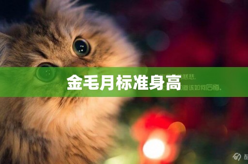 金毛月標準身高