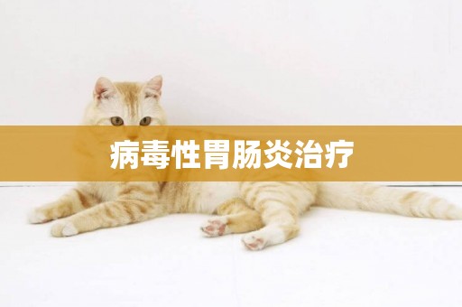 病毒性胃腸炎治療