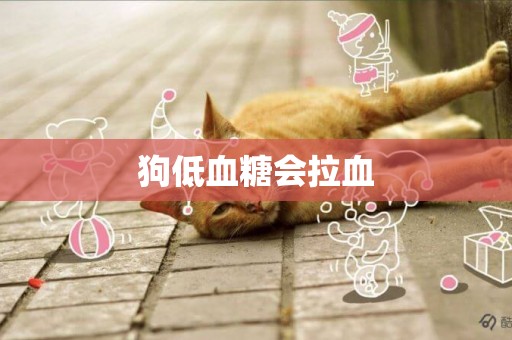 狗低血糖會拉血