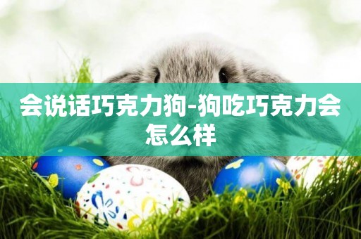 會說話巧克力狗-狗吃巧克力會怎么樣