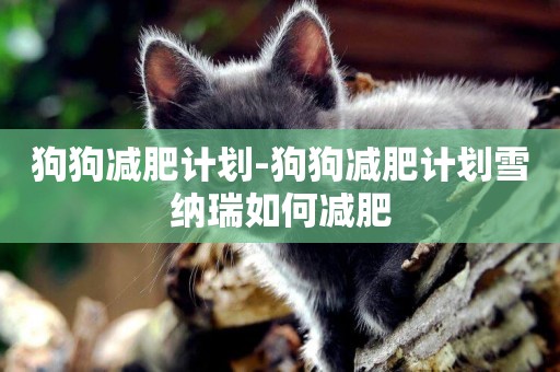 狗狗減肥計劃-狗狗減肥計劃雪納瑞如何減肥