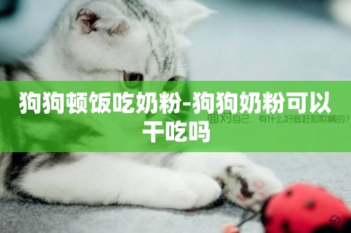 狗狗頓飯吃奶粉-狗狗奶粉可以干吃嗎