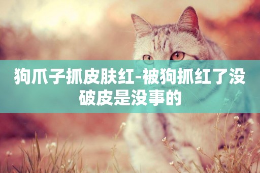 狗爪子抓皮膚紅-被狗抓紅了沒破皮是沒事的