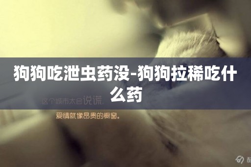 狗狗吃泄蟲藥沒-狗狗拉稀吃什么藥