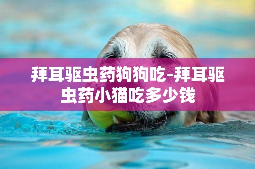 拜耳驅蟲藥狗狗吃-拜耳驅蟲藥小貓吃多少錢