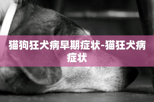 貓狗狂犬病早期癥狀-貓狂犬病癥狀