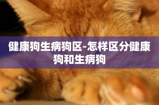 健康狗生病狗區-怎樣區分健康狗和生病狗