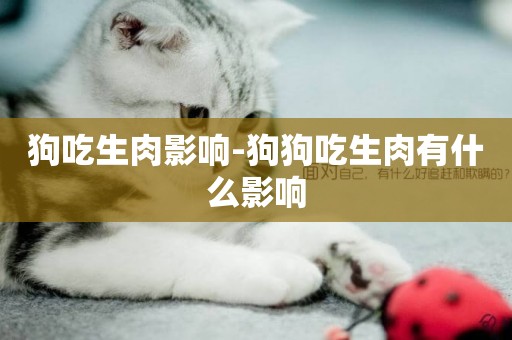 狗吃生肉影響-狗狗吃生肉有什么影響