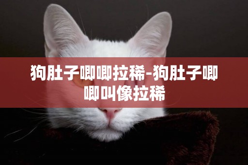 狗肚子唧唧拉稀-狗肚子唧唧叫像拉稀