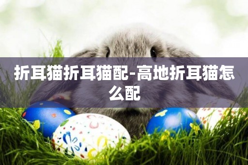 折耳貓折耳貓配-高地折耳貓怎么配