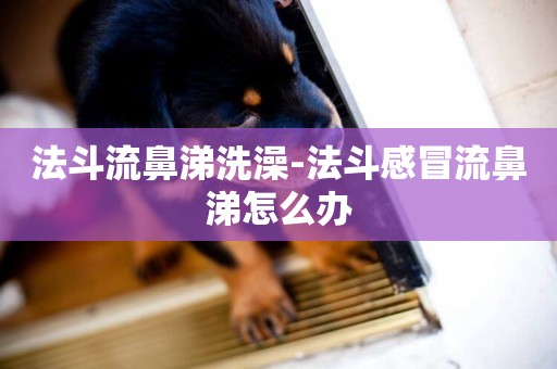 法斗流鼻涕洗澡-法斗感冒流鼻涕怎么辦