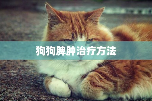 狗狗脾腫治療方法