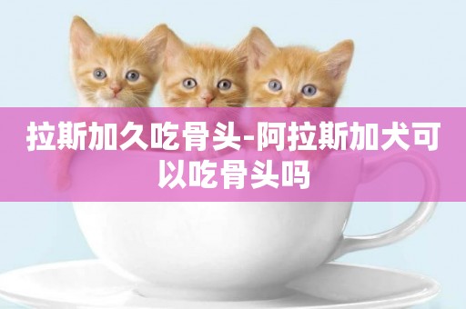 拉斯加久吃骨頭-阿拉斯加犬可以吃骨頭嗎