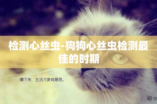 檢測心絲蟲-狗狗心絲蟲檢測最佳的時期