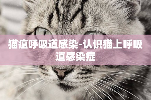 貓瘟呼吸道感染-認識貓上呼吸道感染癥