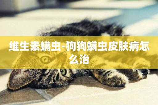 維生素螨蟲-狗狗螨蟲皮膚病怎么治